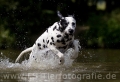 01 Wasseraction